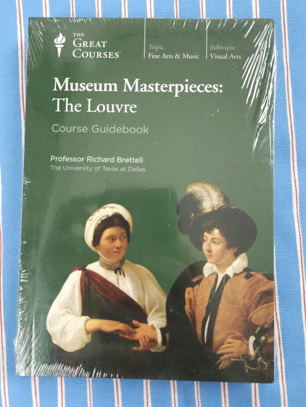 Museum Masterpieces: The Louvre The Great Courses DVD And Course Guidebook New